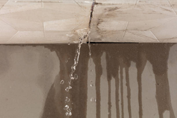 Professional Water Extraction technician working in East Lansing, MI